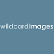 Wildcard Images